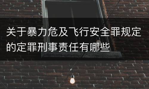 关于暴力危及飞行安全罪规定的定罪刑事责任有哪些