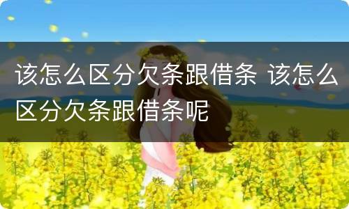 该怎么区分欠条跟借条 该怎么区分欠条跟借条呢