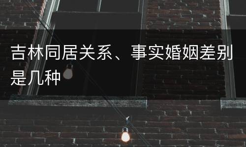 吉林同居关系、事实婚姻差别是几种