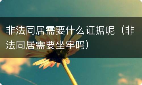 非法同居需要什么证据呢（非法同居需要坐牢吗）