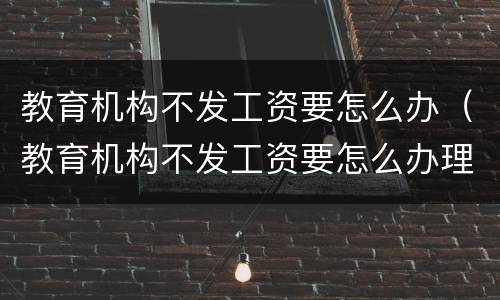 教育机构不发工资要怎么办（教育机构不发工资要怎么办理）
