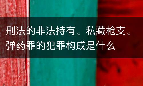 刑法的非法持有、私藏枪支、弹药罪的犯罪构成是什么