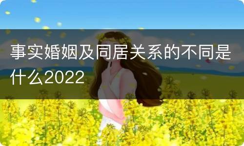 事实婚姻及同居关系的不同是什么2022