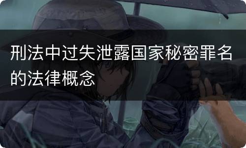 刑法中过失泄露国家秘密罪名的法律概念