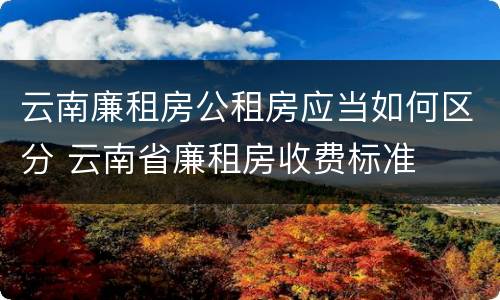 云南廉租房公租房应当如何区分 云南省廉租房收费标准