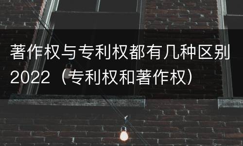 著作权与专利权都有几种区别2022（专利权和著作权）