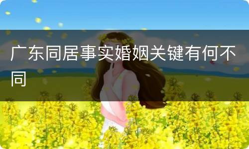 广东同居事实婚姻关键有何不同