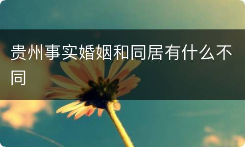 贵州事实婚姻和同居有什么不同