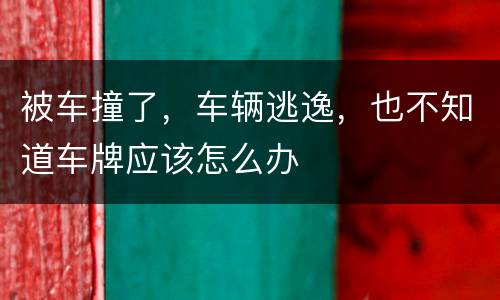被车撞了，车辆逃逸，也不知道车牌应该怎么办
