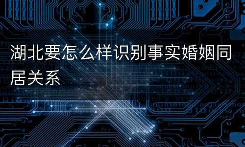 湖北要怎么样识别事实婚姻同居关系