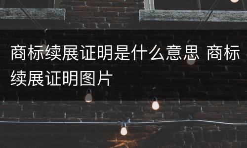商标续展证明是什么意思 商标续展证明图片