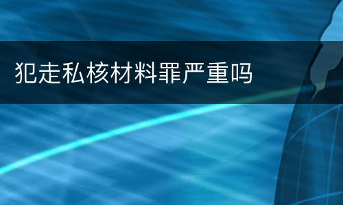 犯走私核材料罪严重吗