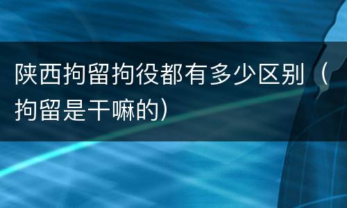 陕西拘留拘役都有多少区别（拘留是干嘛的）