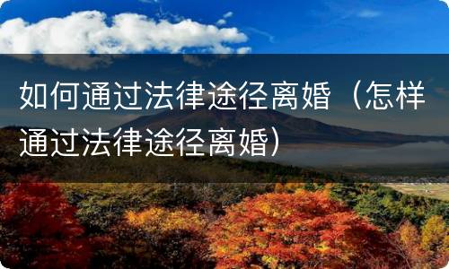 如何通过法律途径离婚（怎样通过法律途径离婚）