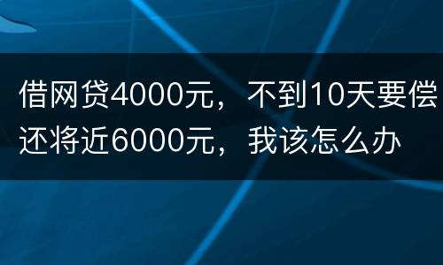 借网贷4000元，不到10天要偿还将近6000元，我该怎么办