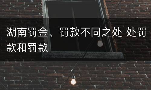湖南罚金、罚款不同之处 处罚款和罚款
