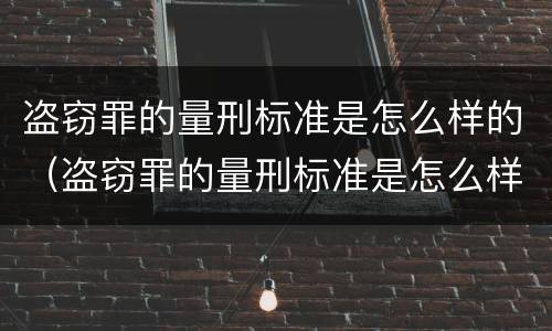 盗窃罪的量刑标准是怎么样的（盗窃罪的量刑标准是怎么样的呢）