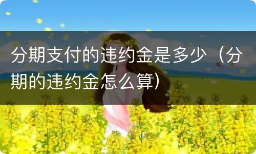 分期支付的违约金是多少（分期的违约金怎么算）