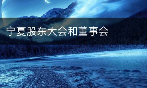 宁夏股东大会和董事会