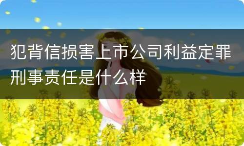 犯背信损害上市公司利益定罪刑事责任是什么样