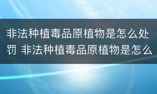 非法种植毒品原植物是怎么处罚 非法种植毒品原植物是怎么处罚的