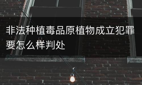 非法种植毒品原植物成立犯罪要怎么样判处