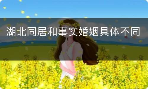 湖北同居和事实婚姻具体不同