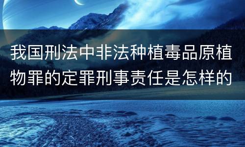 我国刑法中非法种植毒品原植物罪的定罪刑事责任是怎样的
