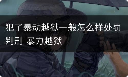 犯了暴动越狱一般怎么样处罚判刑 暴力越狱