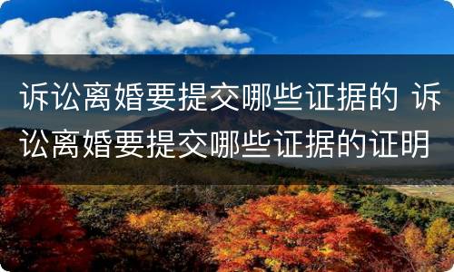 诉讼离婚要提交哪些证据的 诉讼离婚要提交哪些证据的证明