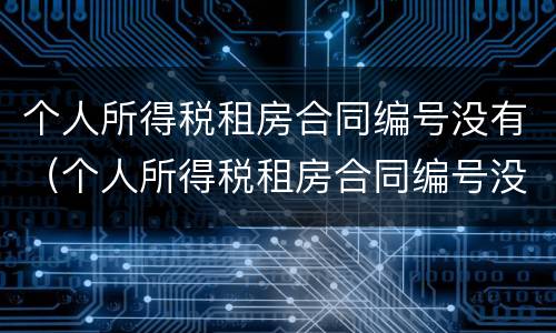 个人所得税租房合同编号没有（个人所得税租房合同编号没有怎么填）