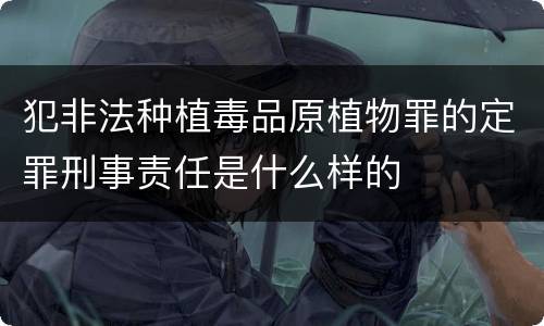 犯非法种植毒品原植物罪的定罪刑事责任是什么样的