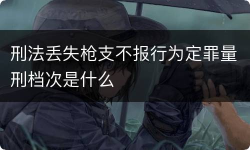 刑法丢失枪支不报行为定罪量刑档次是什么