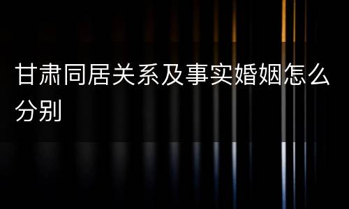 甘肃同居关系及事实婚姻怎么分别