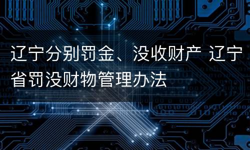 辽宁分别罚金、没收财产 辽宁省罚没财物管理办法