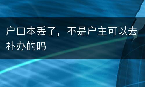 户口本丢了，不是户主可以去补办的吗
