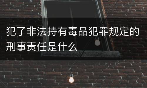 犯了非法持有毒品犯罪规定的刑事责任是什么
