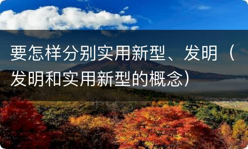 要怎样分别实用新型、发明（发明和实用新型的概念）