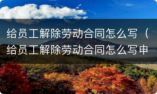 给员工解除劳动合同怎么写（给员工解除劳动合同怎么写申请）
