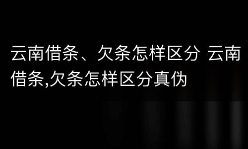 云南借条、欠条怎样区分 云南借条,欠条怎样区分真伪