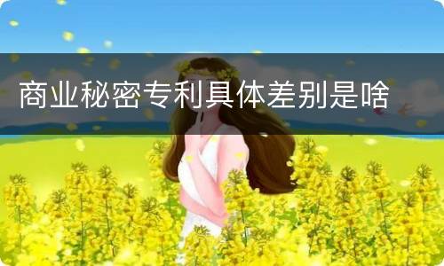 商业秘密专利具体差别是啥