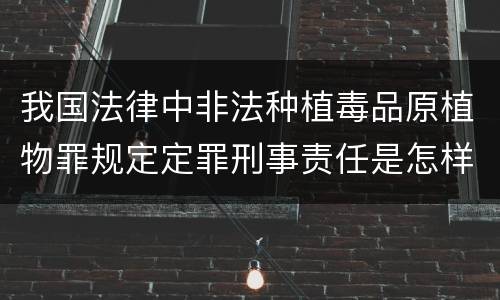 我国法律中非法种植毒品原植物罪规定定罪刑事责任是怎样