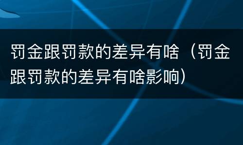 罚金跟罚款的差异有啥（罚金跟罚款的差异有啥影响）