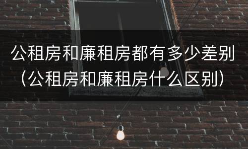 公租房和廉租房都有多少差别（公租房和廉租房什么区别）