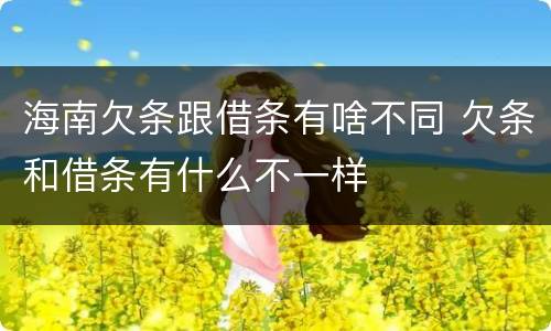 海南欠条跟借条有啥不同 欠条和借条有什么不一样
