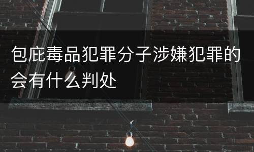 包庇毒品犯罪分子涉嫌犯罪的会有什么判处