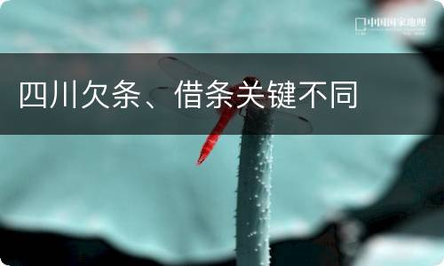 四川欠条、借条关键不同