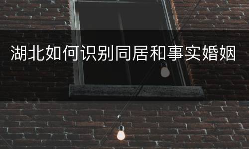 湖北如何识别同居和事实婚姻