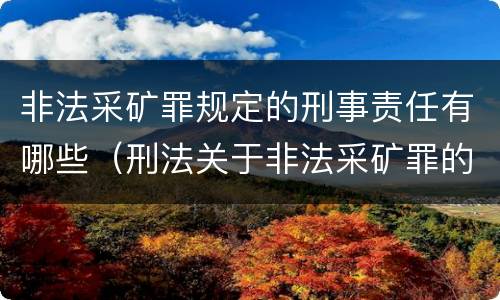非法采矿罪规定的刑事责任有哪些（刑法关于非法采矿罪的规定）