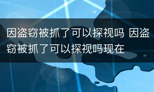 因盗窃被抓了可以探视吗 因盗窃被抓了可以探视吗现在